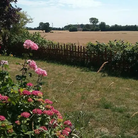 Ostseeurlaub-asmussen *